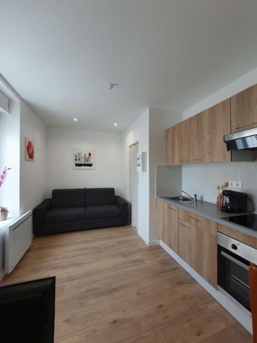 Studio Coquelicot Apartment Nancy Exterior foto